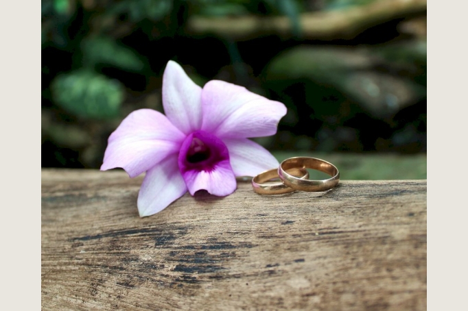 Heiraten unter Palmen in der Biosphäre Potsdam