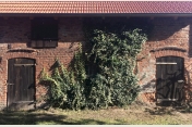 Hochzeitsscheune im Grünen - Villa Boskow - Hochzeitslocation in Brandenburg